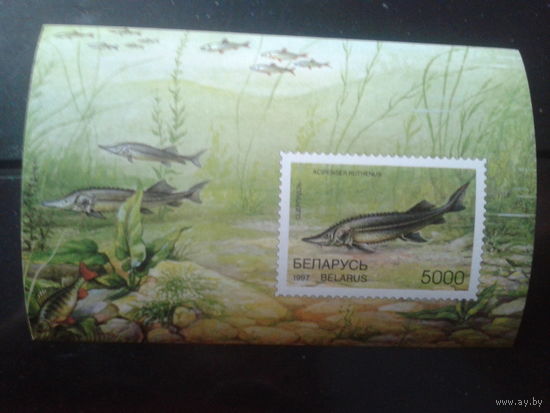1997 Рыбы ** Блок