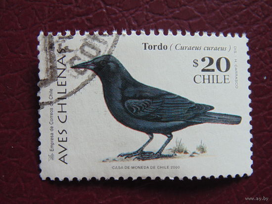 Чили 2000 г. Птица.