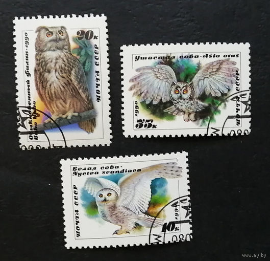 СССР 1990 г. Совы. Птицы. Фауна, полная серия из 3 марок #0036-Ф2P6