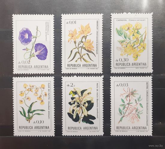 Аргентина. Флора. Цветы (243)