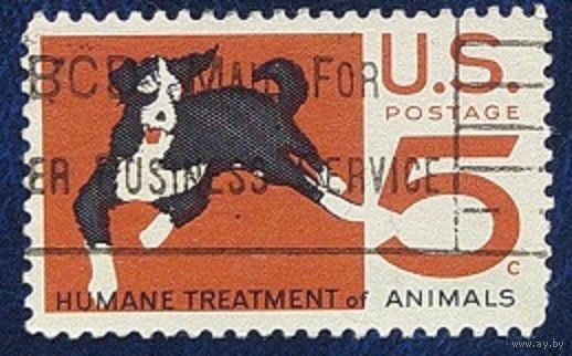 США 1966.