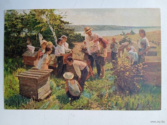 1955. пионеры, дети. Савостьянов. Школьники на колхозной пасеке