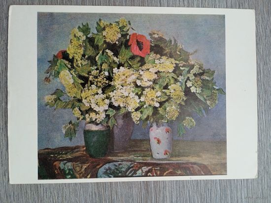 Ляхович. Калина. Натюрморт