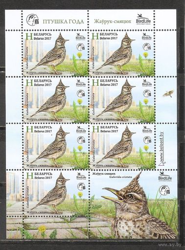 ФФ1 Беларусь 2017 Жаворонок