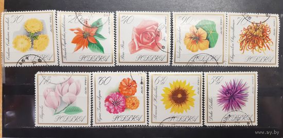 Польша. Флора. Цветы (1301)