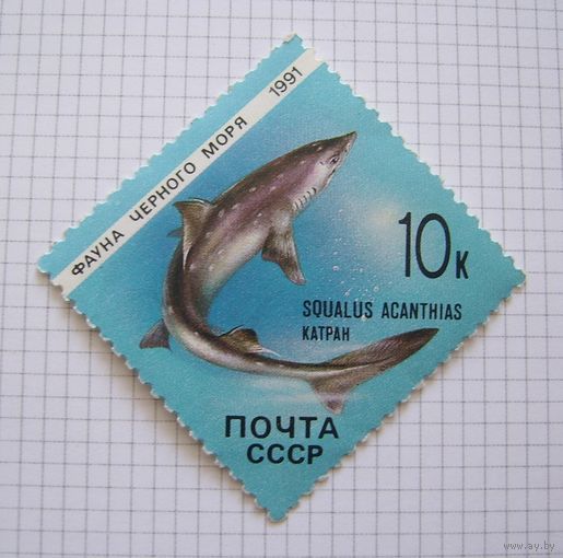 СССP 1991г.