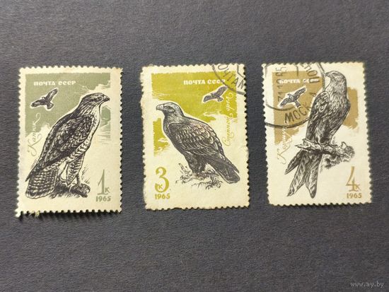 1965 СССР. Хищные птицы