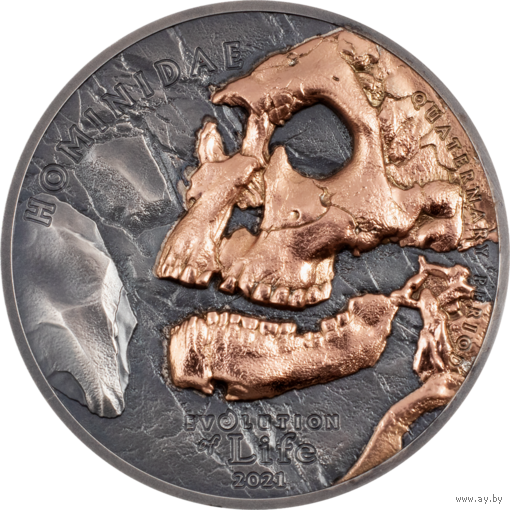 RARE Монголия 500 тугриков 2021г.  "Эволюция Жизни: Гоминиды". Монета в капсуле; подарочной рамке - футляре; сертификат; коробка. СЕРЕБРО 31,10гр.(1 oz).