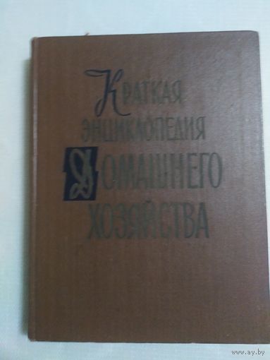 "Краткая энциклопедия домашнего хозяйства"\100