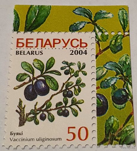 Ягоды 2004 год