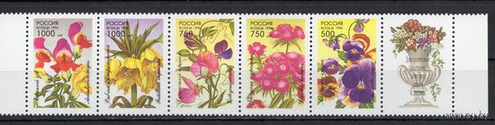 Россия 1996. Флора. Декоративные растения 5 марок+купон(153)