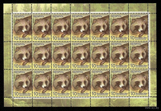 Беларусь. 2008. Стандарт. Енотовидная собака (10р) (з.61-2009) Лист