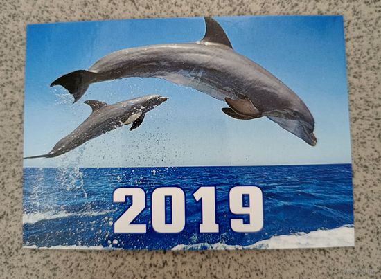 Календарик карманный дельфины 2019