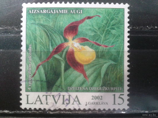 Латвия, 2002. Венерин башмачок