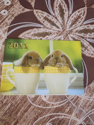 Календарик,кролик,2011