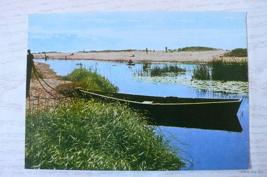 Прибалтика, Латвийская ССР, Речка Петерупите в Саулкрасты; чистая.