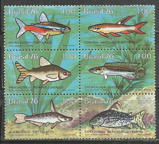 Бразилия. Речные рыбы. 1976г. Mi#1545-50. Серия в блоке.