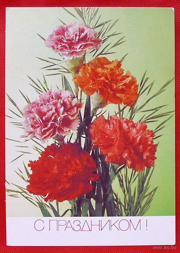 С Праздником. Чистая. 1991 года. Дергилёва.