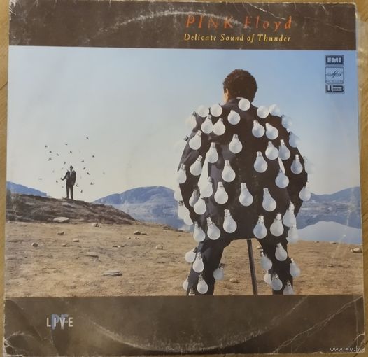 Pink Floyd Delicate Sound of Thunder 2 LP