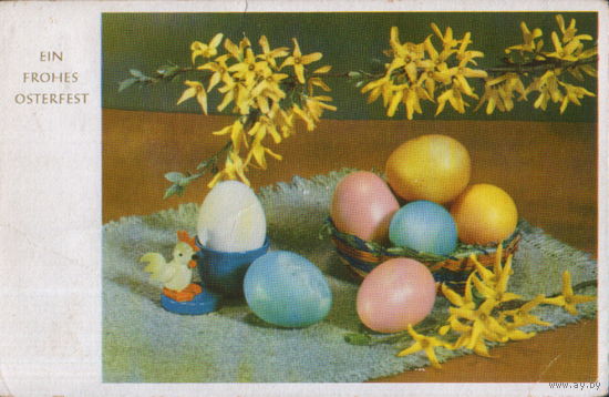Чистая открытка ГДР 1958г. "Пасха. Яйца, ветка форзиции и петушок"