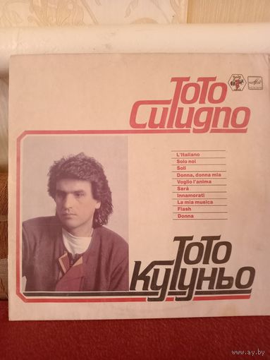 Виниловая пластинка