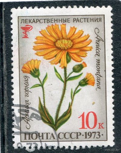 СССР 1973.. Лекарственные растения. Арника горная