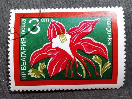 Марка Болгария 1974 год Цветы