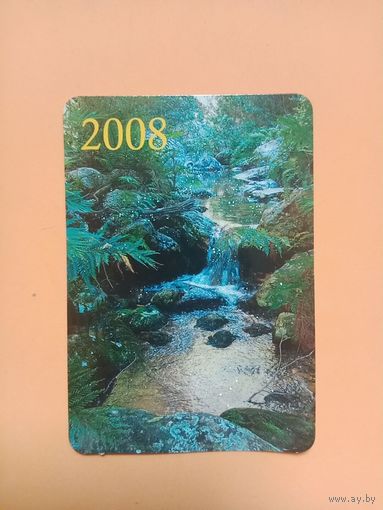 Календарик 2008