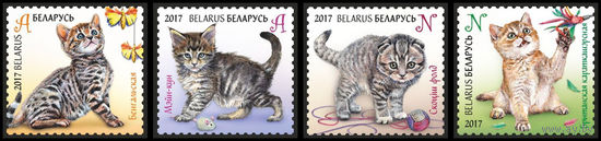 Серия марок 2017г Беларусь MNH 1174-1177  "Котята"