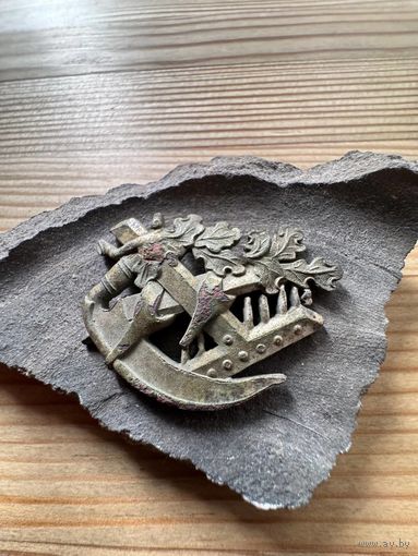 Знак (кокарда) сельхоз училища