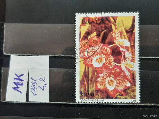 ГАЙАНА 1981г. Гаш.