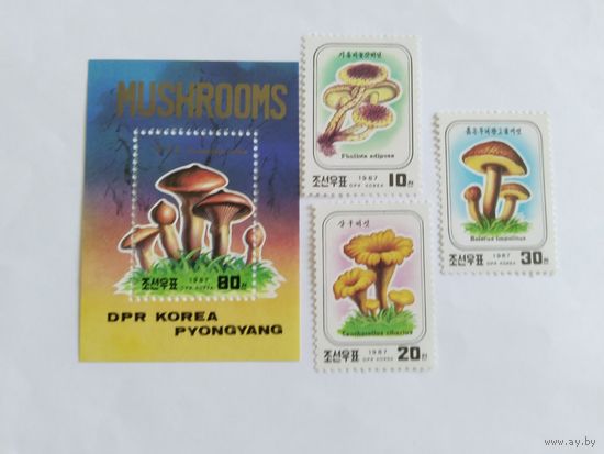 КНДР 1987  3м +бл.грибы