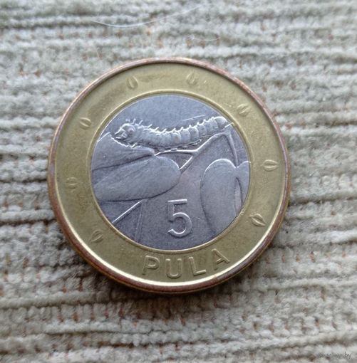 Werty71 Ботсвана 5 пула 2013 Гусеница мопане Биметалл