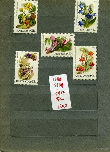 СССР, 1988,  ЦВЕТЫ ШИРОКОЛ. ЛЕСОВ , серия  5м  чистая