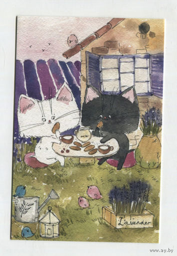 Открытка. Коты. Котики. Котята. Семья. Фауна, животные. Лето, дача, ужин. Художник Анастасия Еременко (чистая)