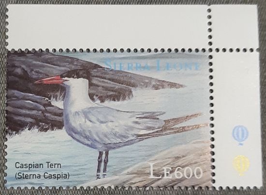 2000  Птица чеграва Сьерра -Леоне