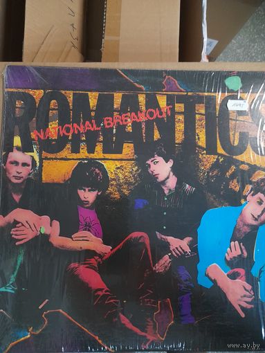 THE ROMANTICS  "NATIONAL BREAKOUT" 1980 LP USA NEMPEROR REC.JZ36881 -- ORIG - NM/EX+