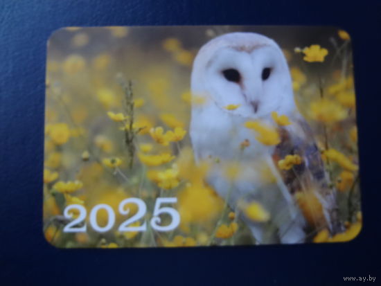 Календарик 2025 г.  Сипуха.