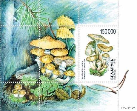 Марка "Опенок осенний. Блок N15"