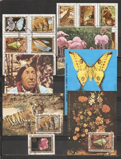 ФФ1 Экваториальная Гвинея Фауна