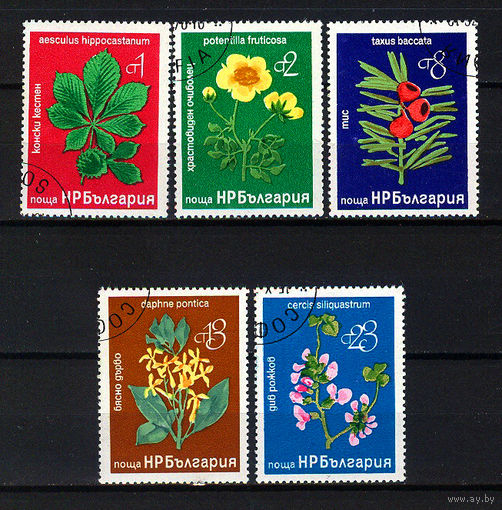 1976 Болгария. Растения