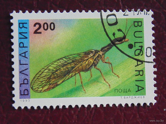 Болгария 1993г. Насекомые.