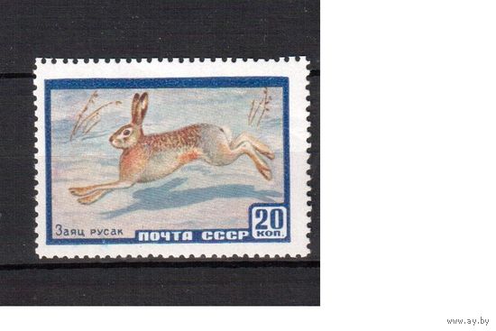 СССР-1960, (Заг.2318), **, Фауна, Заяц