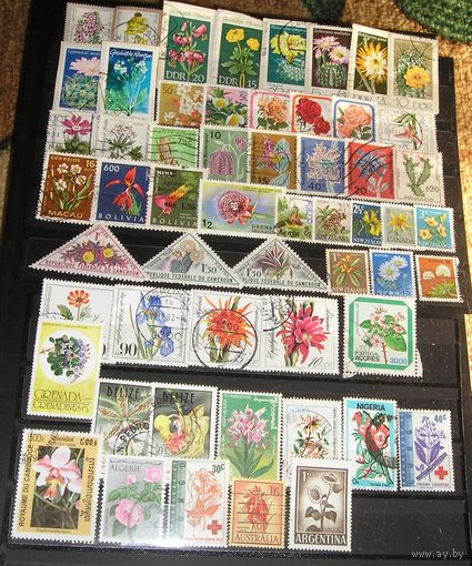 Флора х 56 разных марок