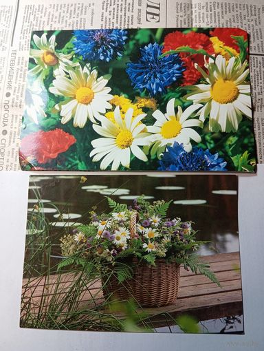 Открытки  QSL . С рубля .