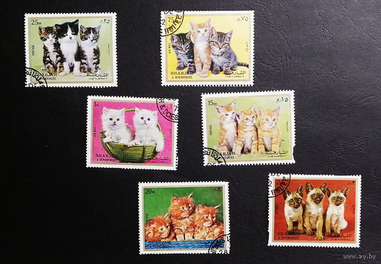 ОАЭ Шарджа 1972 г. Кошки. Котята. Фауна, полная серия из 6 марок #0235-Ф1P46