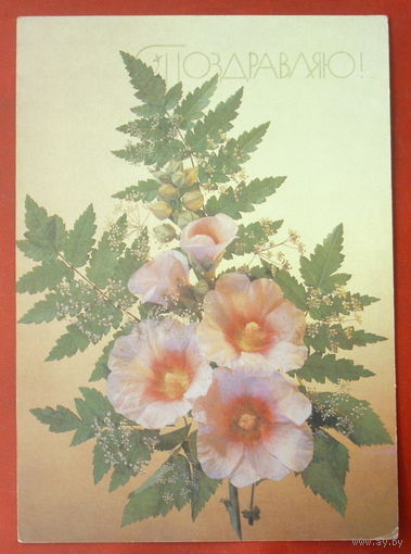Поздравляю! Чистая. 1989 года. Фото Дергилева. #181.
