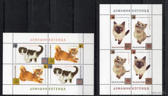 Болгария 2013 Фауна Котята 2 листа (5118)