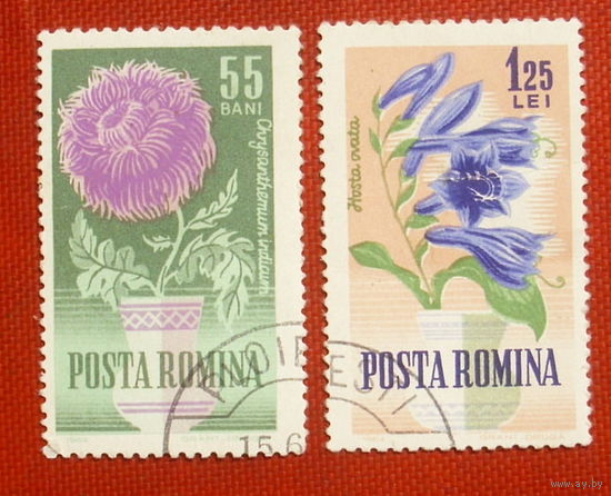 Румыния. Цветы. ( 2 марки ) 1964 года. 5-4.
