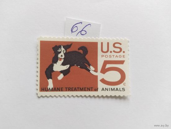 США   1966